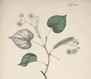 Natuuratelier